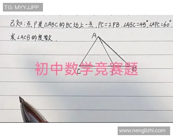 西安羽毛球队技术分析与训练方法探讨助力竞技水平提升